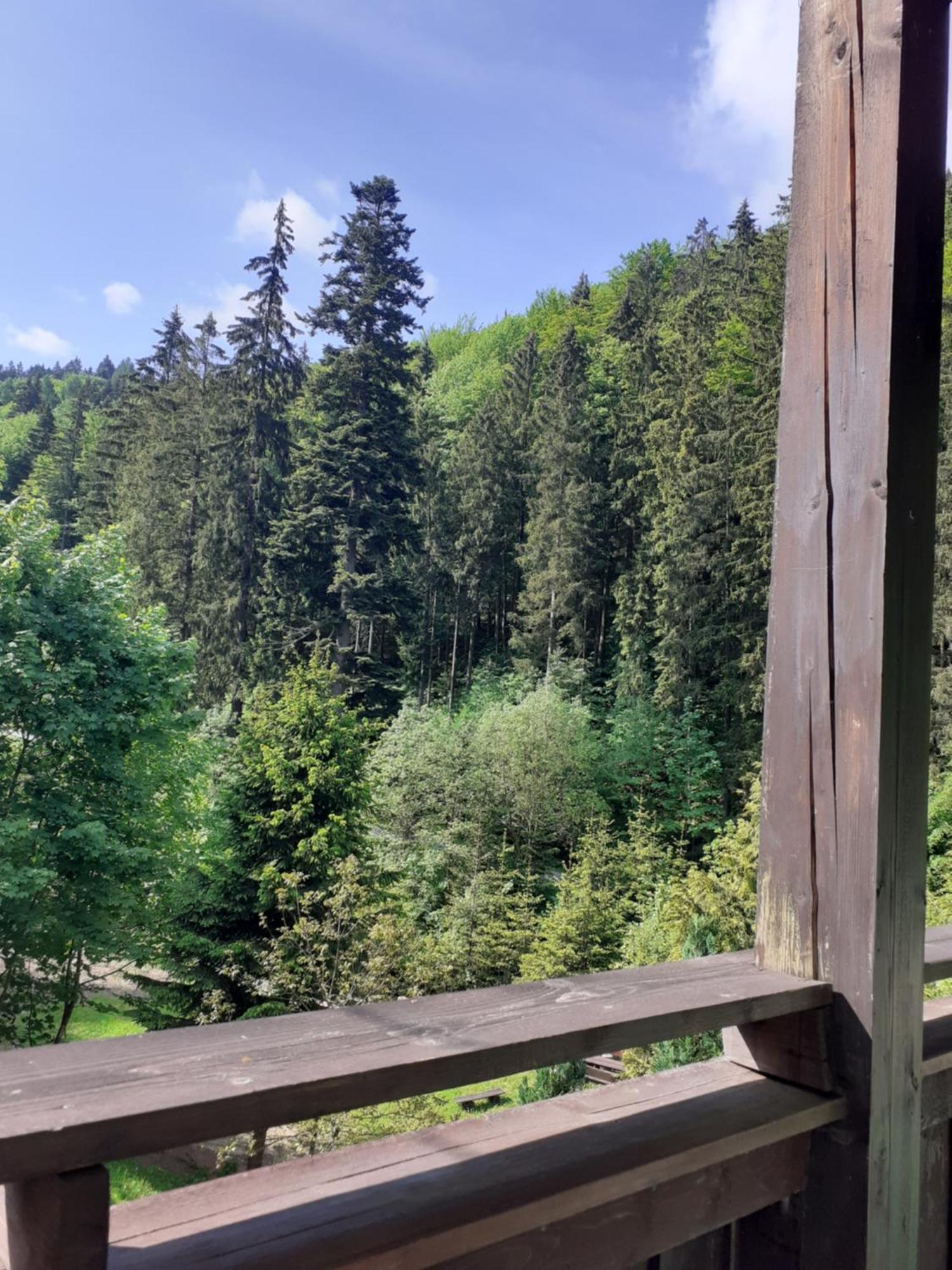 Apartamenty Kaskada Мєндзиґуже Номер фото